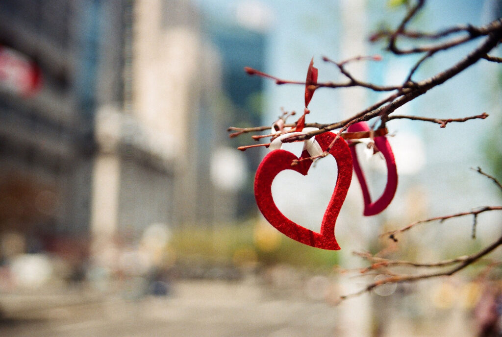 LOVE, we found.