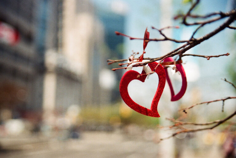 Two small red heart-shaped decorations hanging from a tree branch outdoors, with soft sunlight and a blurred city background.