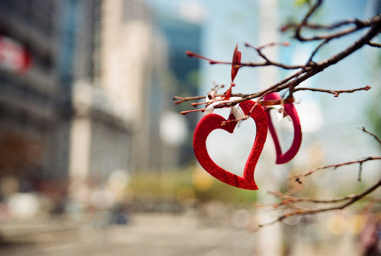 LOVE, we found.
