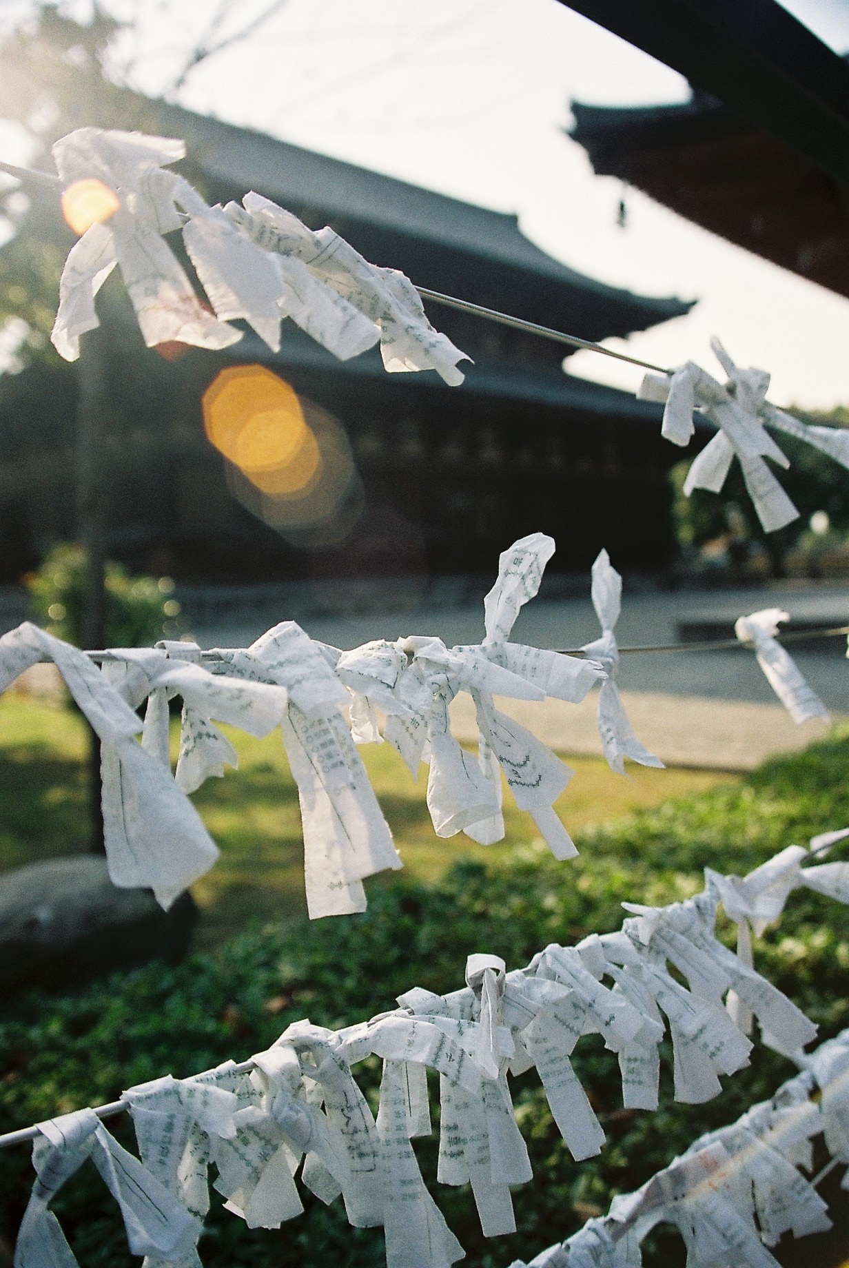 Paper wishes