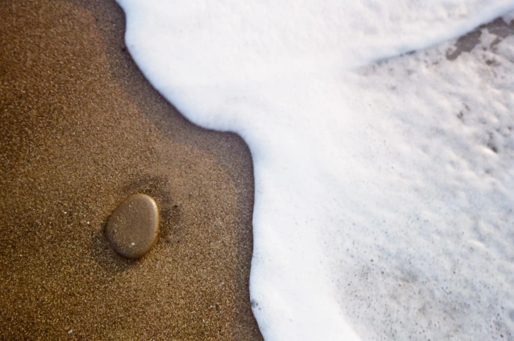 Between Sand and Sea