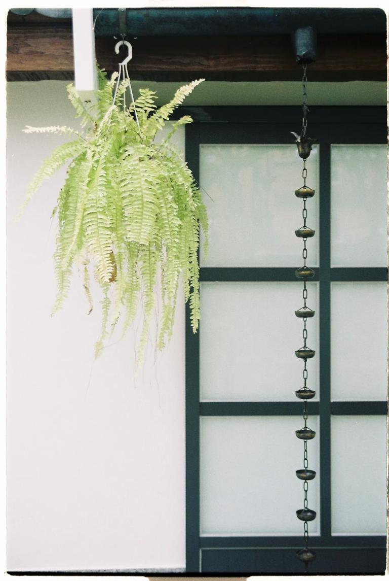 A hanging fern and a vertical metal rain chain beside a white wall and dark wooden window frame at a Japanese-style café. Soft daylight creates a calm, minimalist atmosphere.