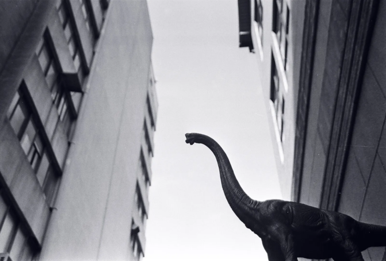 A small dinosaur sculpture rising between tall city buildings in black and white, film photography by Percy Lin 2015