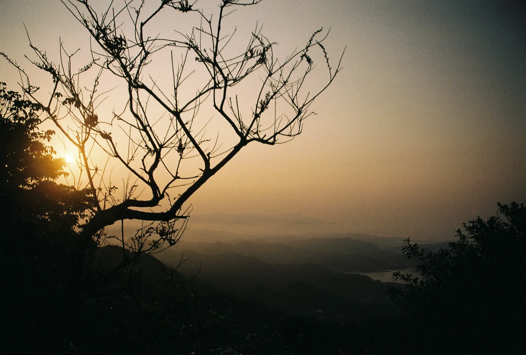 Where the Light Rests