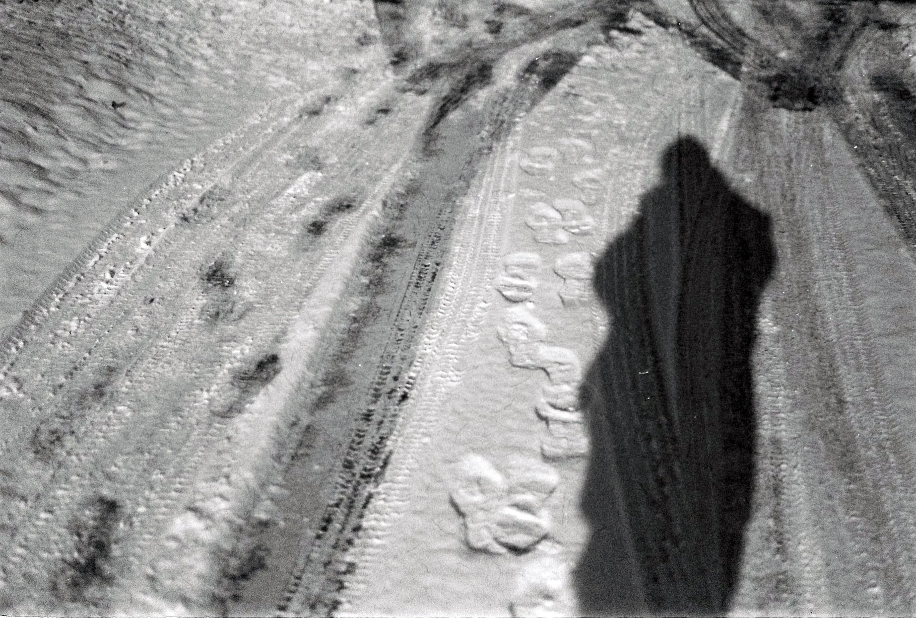 Snow-covered path with tire and footprints, long human shadow stretching forward — film by Percy Lin 2024