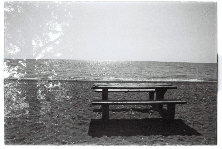 Picnic table facing the lake at Point Pelee, Ontario — film by Percy Lin 2017
