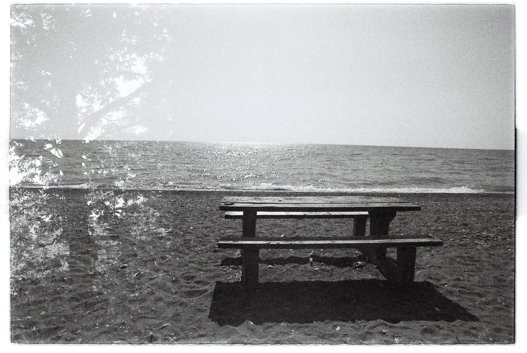 Picnic table facing the lake at Point Pelee, Ontario — film by Percy Lin 2017
