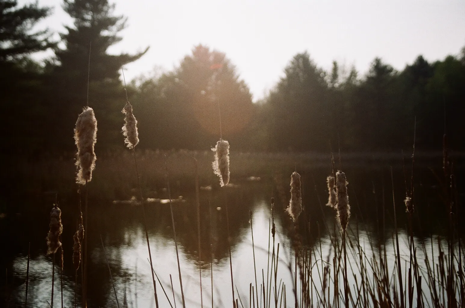 Why I Still Choose Film Photography in an Increasingly Instant World